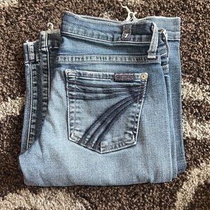 7 For All Mankind 26x32